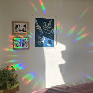 Rainbow maker - Botanopia