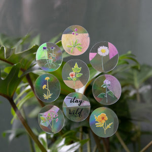 Rainbow maker - Botanopia